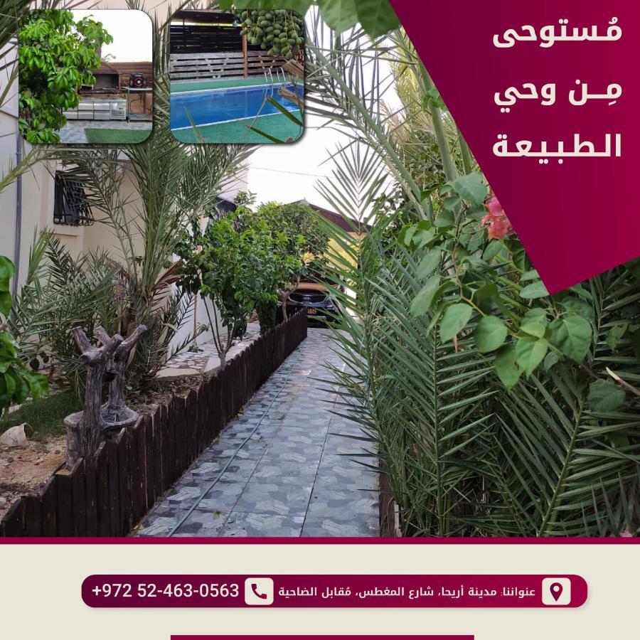 Magtas Hotel Jericho Luaran gambar