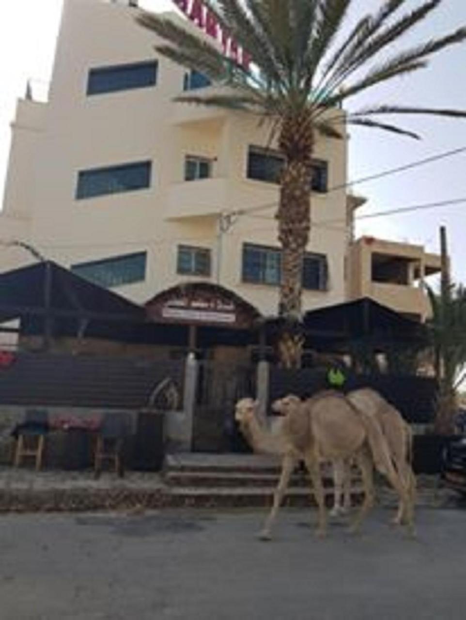 Magtas Hotel Jericho Luaran gambar
